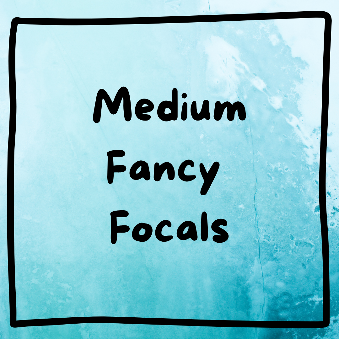 Medium Fancy Focals