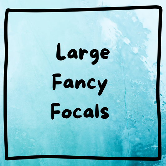 Large Fancy Focals